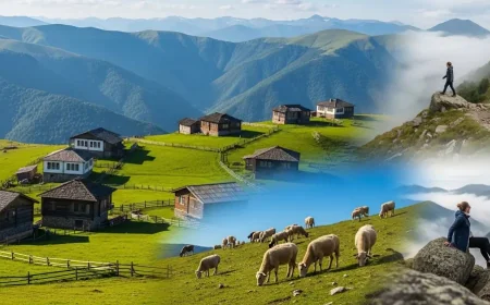 Doğayla İç İçe: Karadeniz Yaylalarına Kısa Turlar